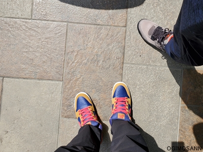 現在大学４年生、大学時代にやり残した事